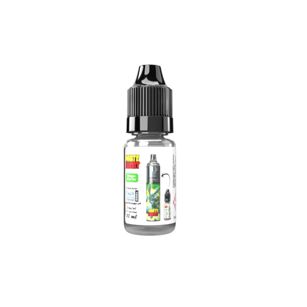 E-liquide Dragon Kiwi Ice 10ml - 2% nicotine