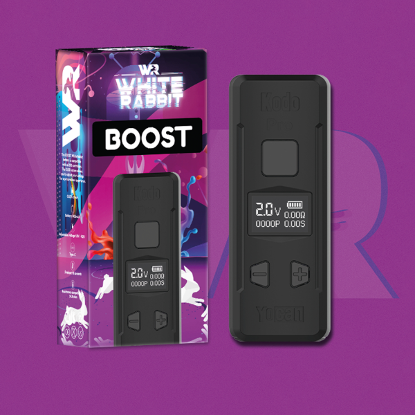 WHITE RABBIT - BOOST BATTERIE E510
