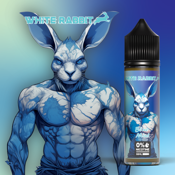 E-Liquide Watermelon Blue Mint - 0% 50ML