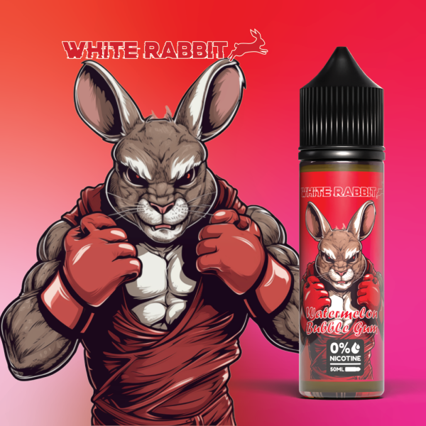 E-Liquide Watermelon Bubble Gum - 0% 50ML