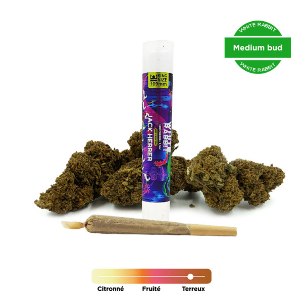 Pre-roll - Jack Herer - CBD