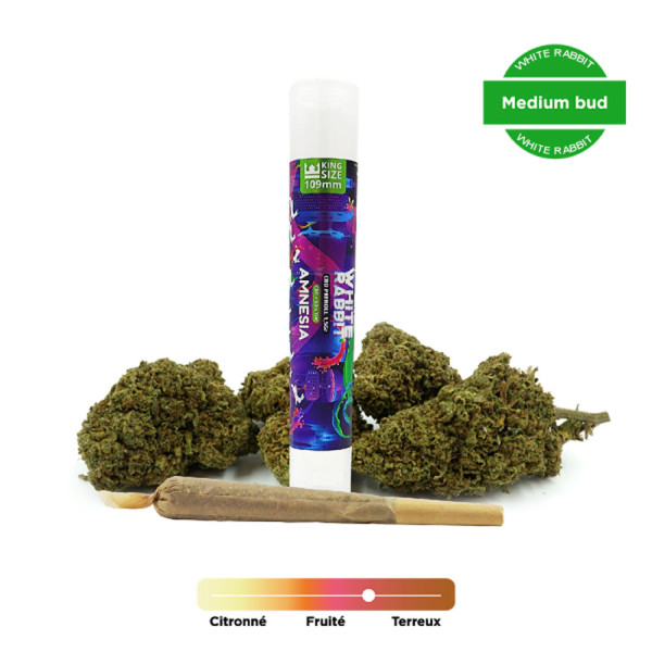 Pre-roll - Amnesia - CBD