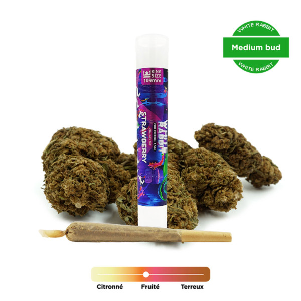 Pre-roll - Strawberry - CBD