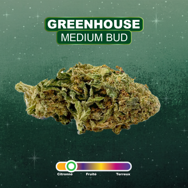 GELATO - Fleurs GREENHOUSE CBD - 2g à 50g