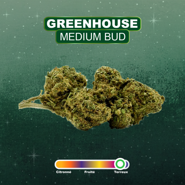 HIGHLANDER - Fleurs GREENHOUSE CBD - 2g à 50g