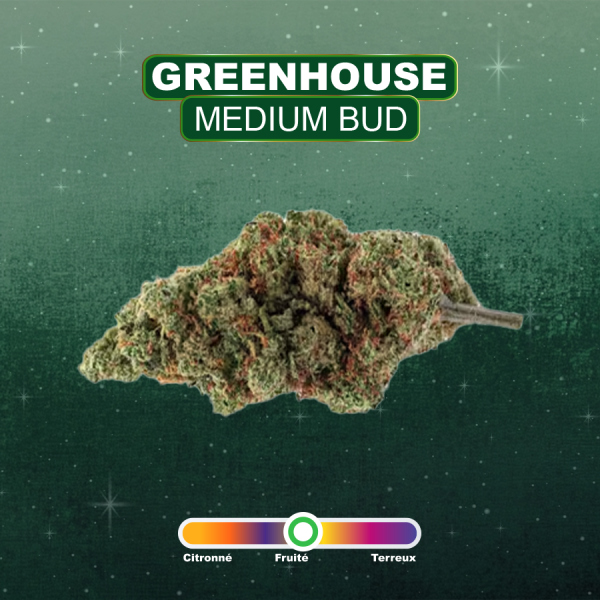 INDIAN FLUTE - Fleurs GREENHOUSE CBD - 2g à 50g
