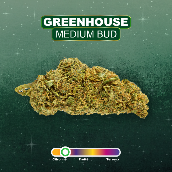 LEMON HAZE- Fleurs GREENHOUSE CBD - 2g à 50g