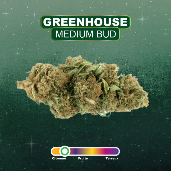 SUPER SILVER HAZE - Fleurs GREENHOUSE CBD - 2g à 50g