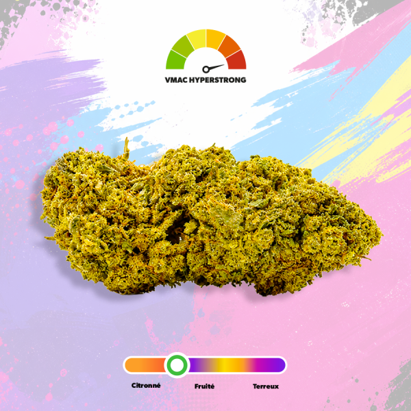 Fleur Amnesia Kush VMAC Hyper Strong - 2g à 50g