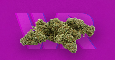 Fleur CBD