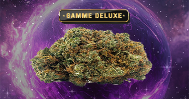 Fleur CBD deluxe