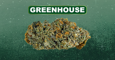 Fleur CBD greenhouse